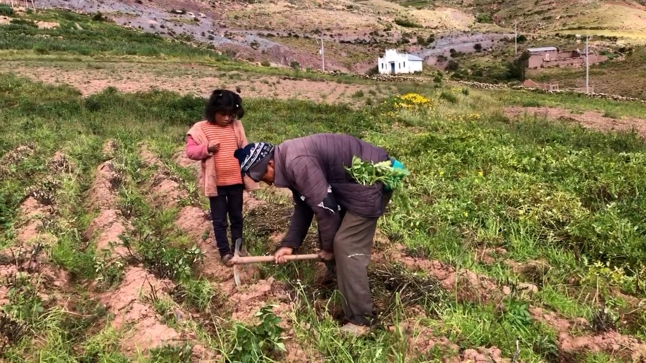 Organizaciones campesinas denuncian que la nueva ley de Rodrigo Paz abre la puerta al latifundio en Bolivia